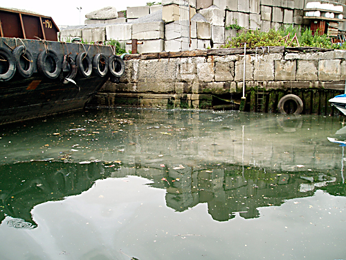 Love it or hate it, here’s our look back at 2009