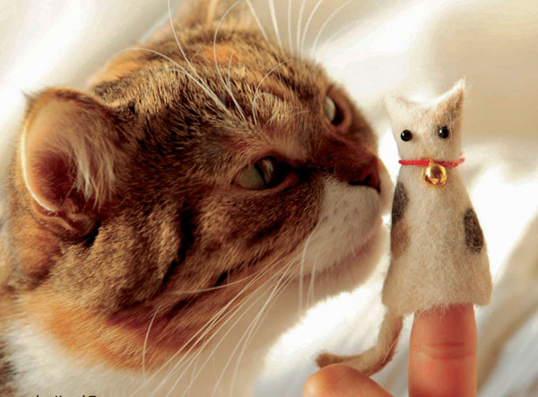 Cool as cats: ‘Catlady Craft Night’ embraces kitty obsessions