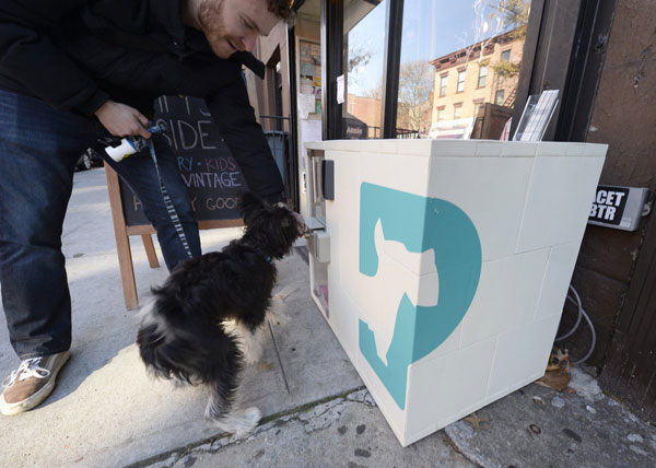 Pup and lock! Fort Greene dog owners pay to stash pooches in sidewalk kennels