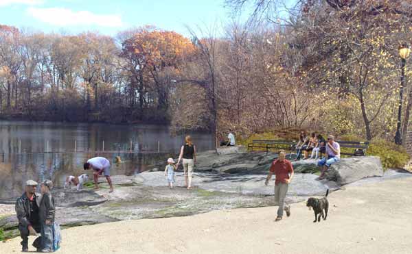 There is nowhere for dogs to swim in Prospect Park this summer