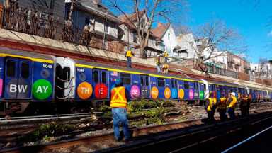 Winds knock over tree onto tracks, stopping service