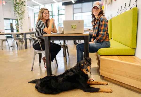 Etsy-does it! Dot-com’s super green office a pleasure to visit — or work in