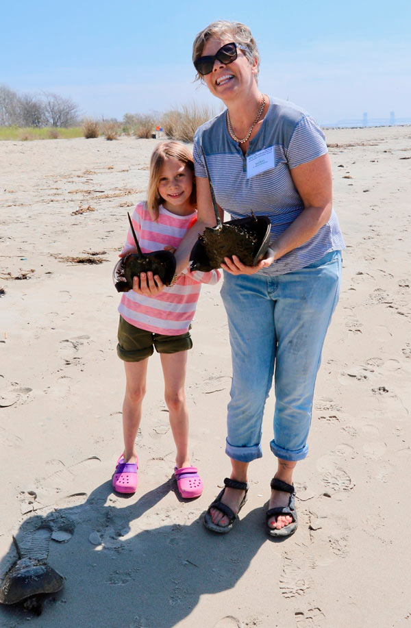 Volunteers beautify Plumb Beach