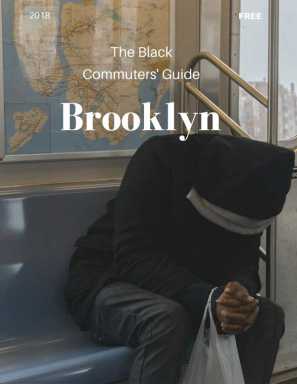 Look out below: Book claims cops most likely to cuff fare jumpers at stations in black nabes