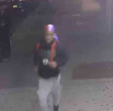 Cops hunt perv wanted in connection with two Park Slope sexual assaults