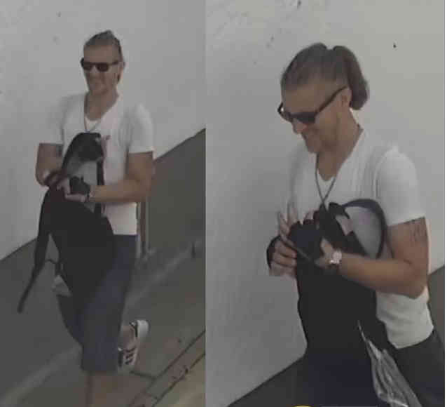 Thief steals power tools and a bike from shed in Marine Park