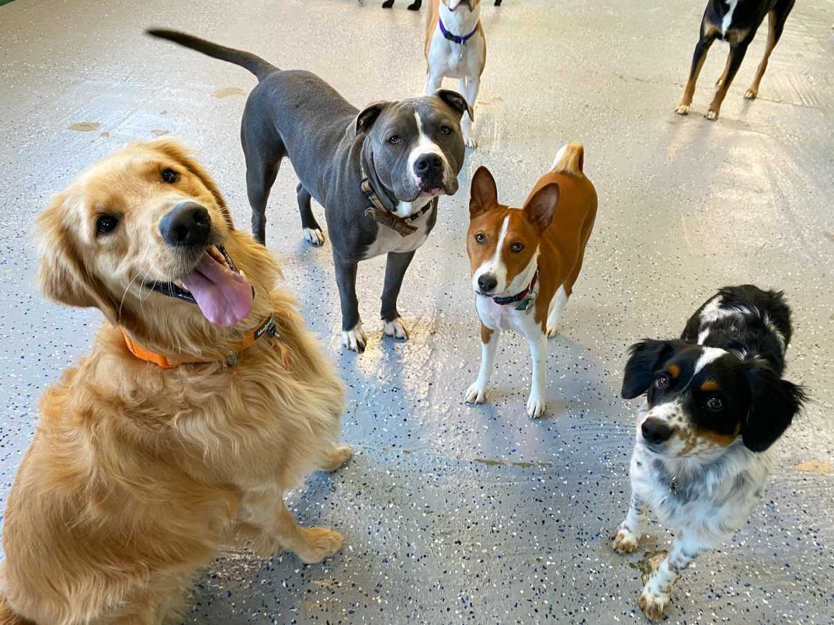 128834261_3606989602673716_7715327594764668967_o