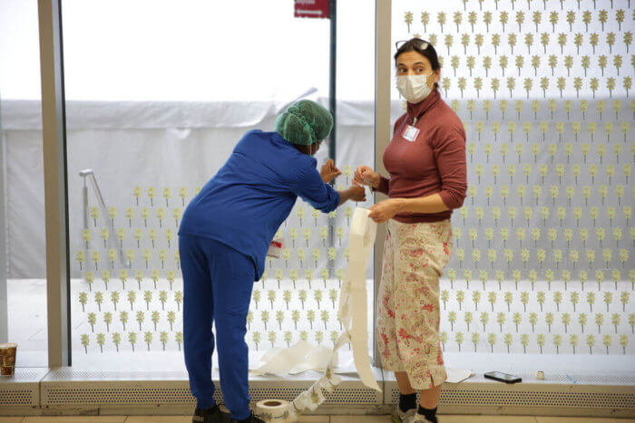 nurses hang paper daffodils on window at maimonides medical center