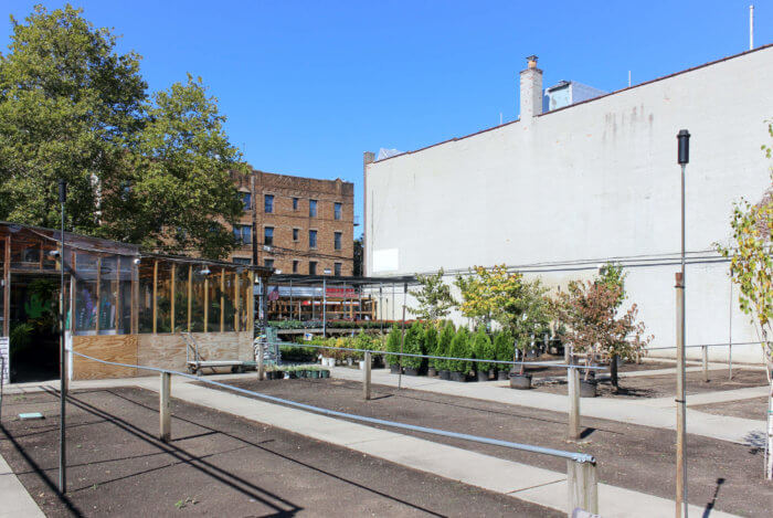 kings county nurseries lot