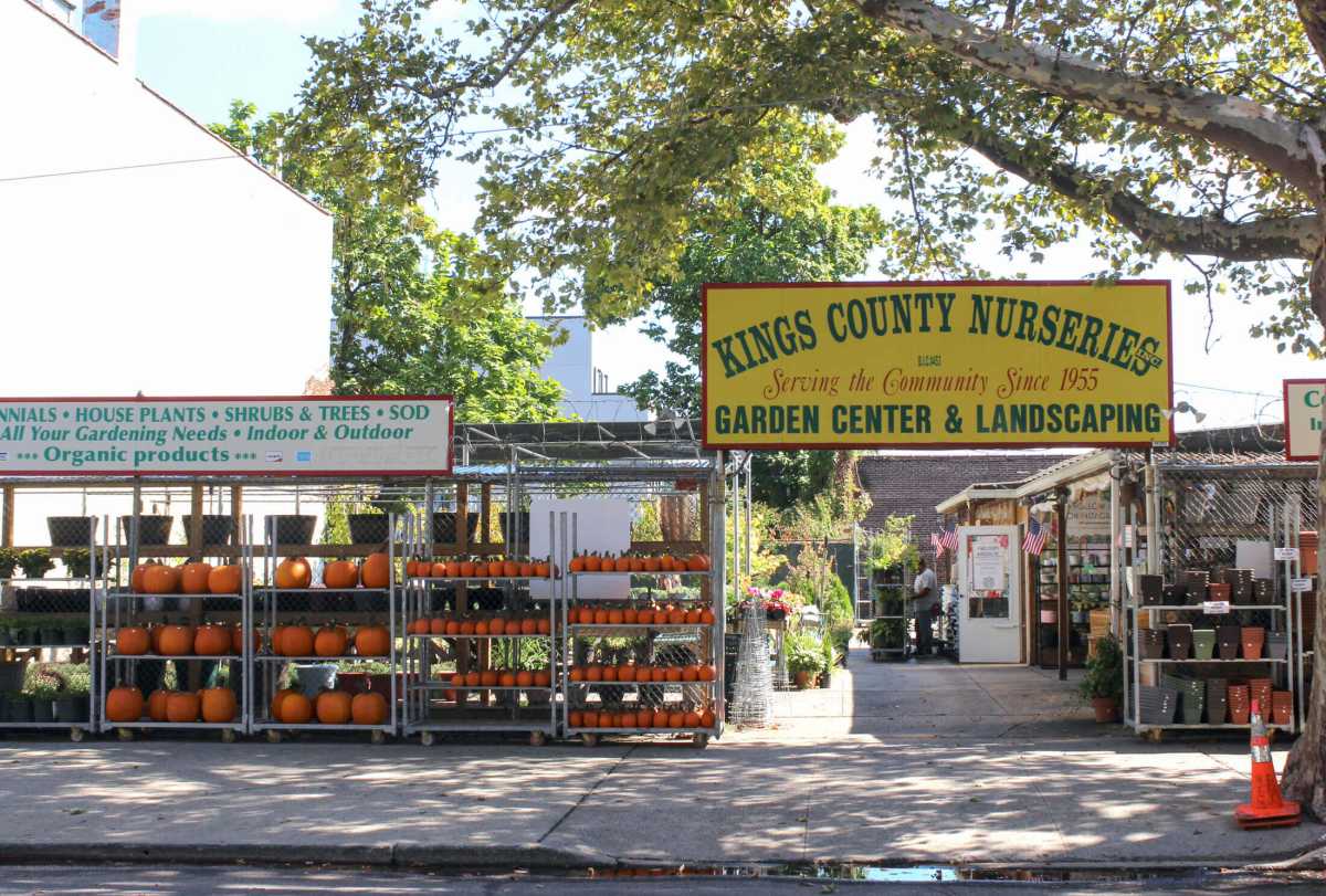 kings county nurseries