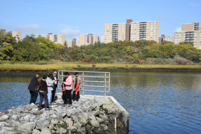 people stand on sewer outfall at fresh creek