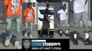 cypress hills scooter thieves