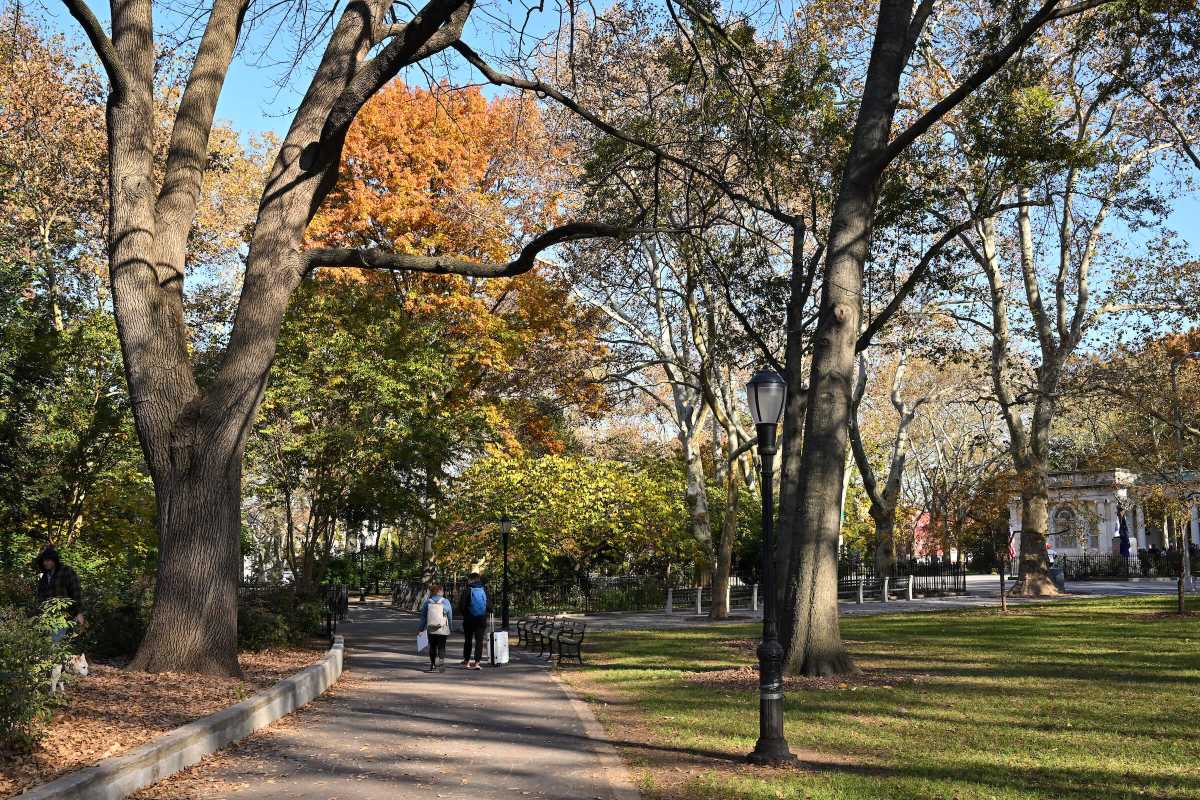 DA9_6546_111323 McGolrick Park