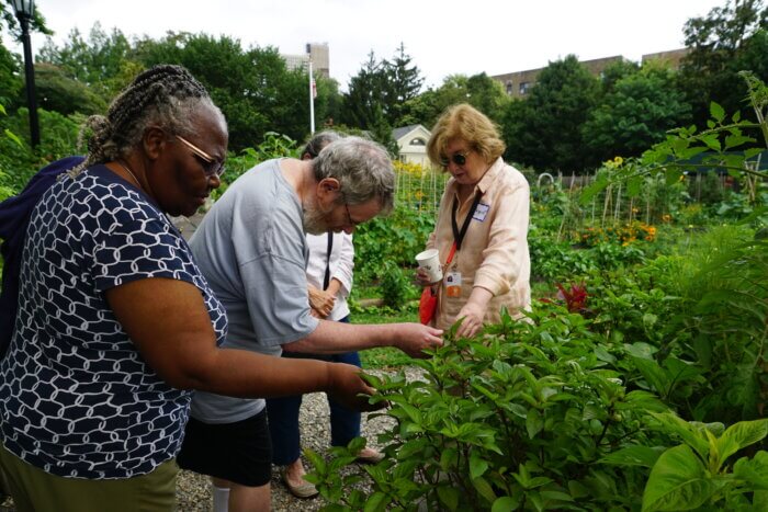 brooklyn botanic garden memory program