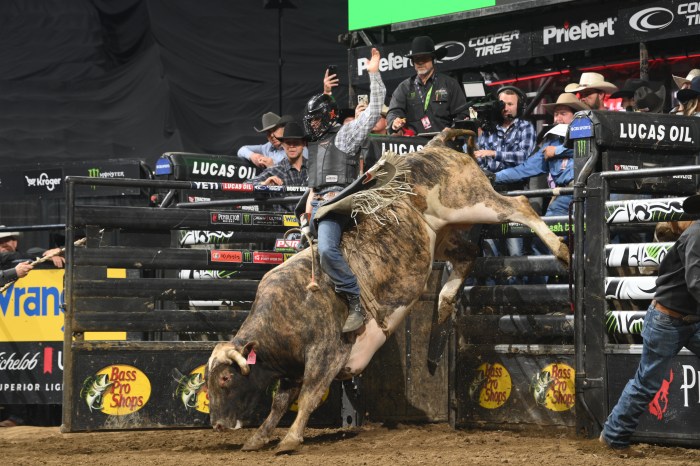 Rider, Leonardo Castro, attempts to ride a bull during a competition.