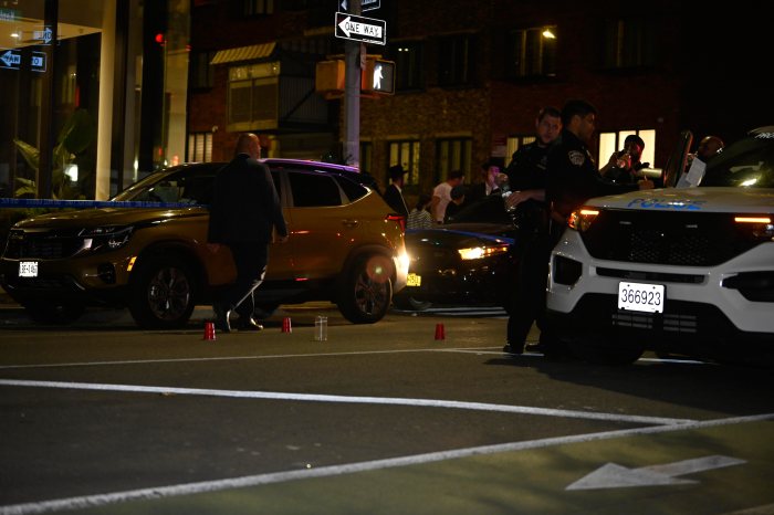 williamsburg carjacking