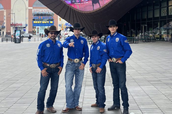 Put on your spurs and head out to the rodeo this summer.