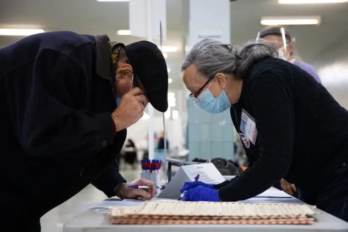 voters in 2020 election