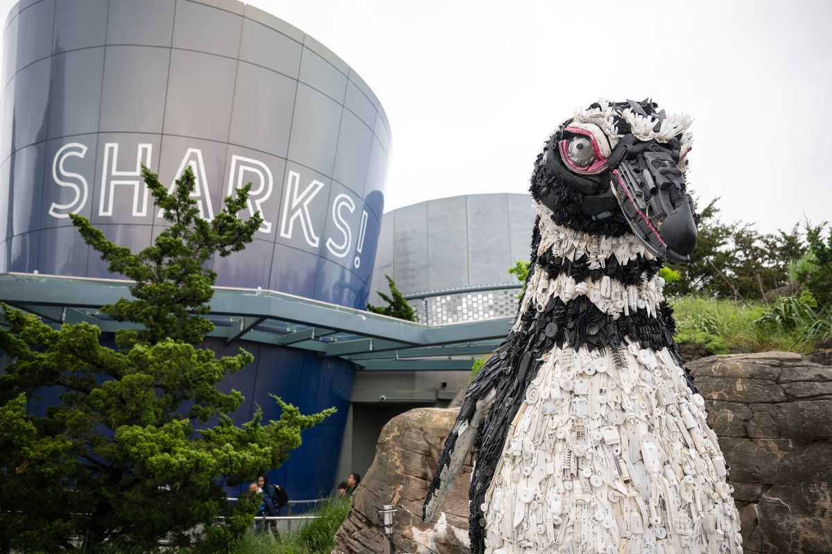 The Washed Ashore exhibit is now at the New York Aquarium!