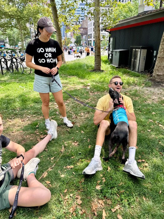 shelter dog at adoption event greeting person on lawn