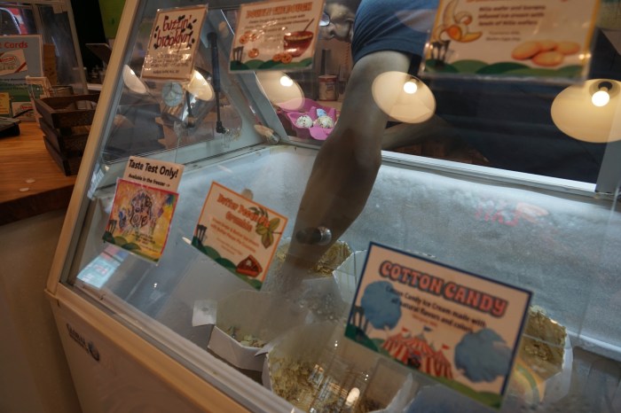ample hills ice cream scooper