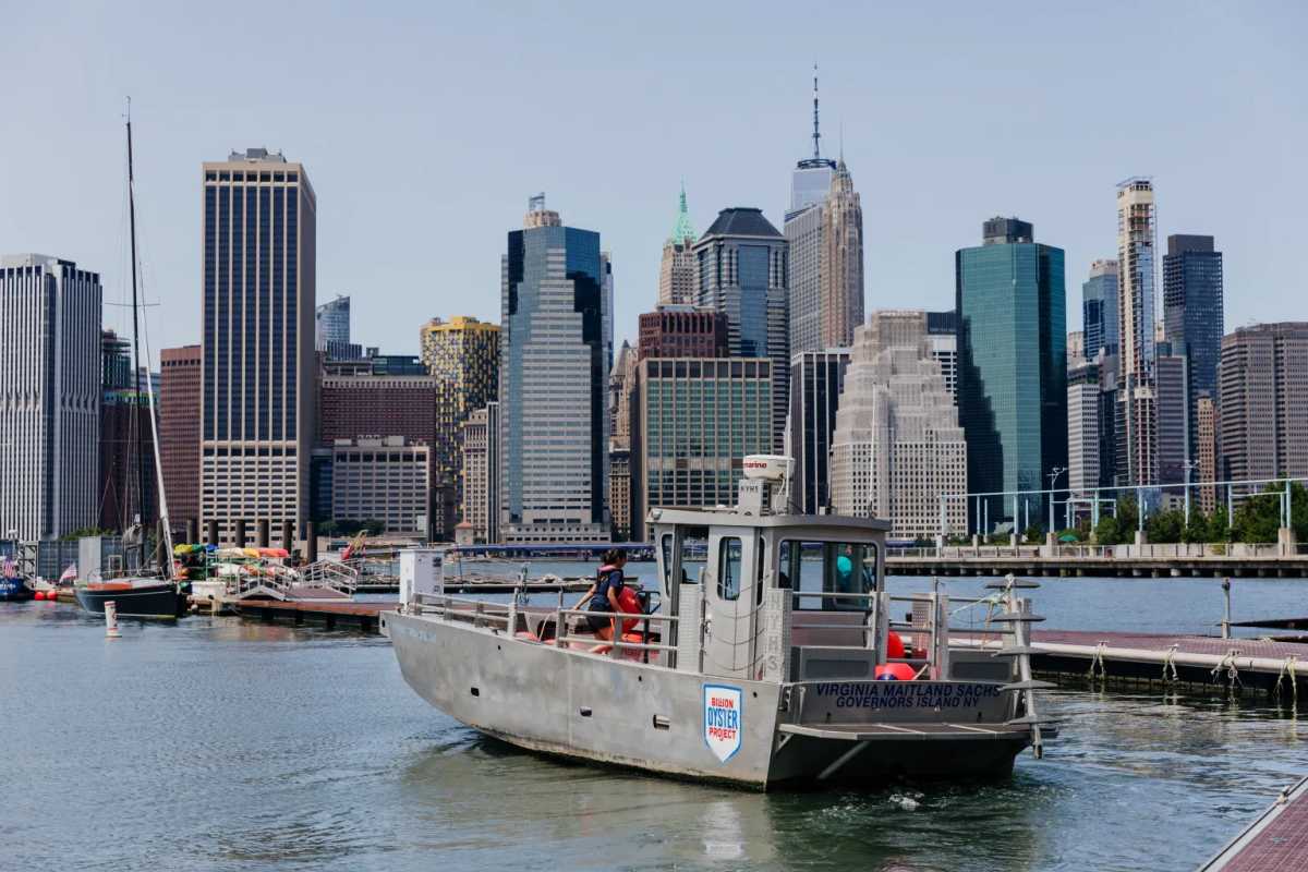 billion oyster project reef