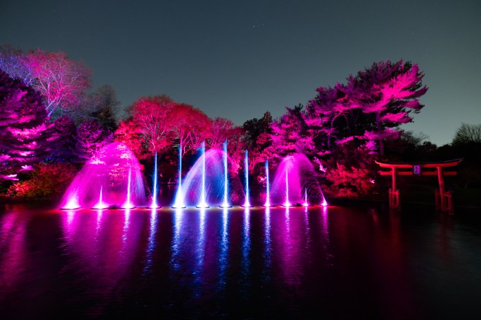 Lightscape at the Brooklyn Botanic Garden is set to bring dozens of beautiful displays, like the illuminated fountain show to the garden later this month.