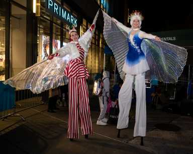 NY:  Tree Lighting Ceremony