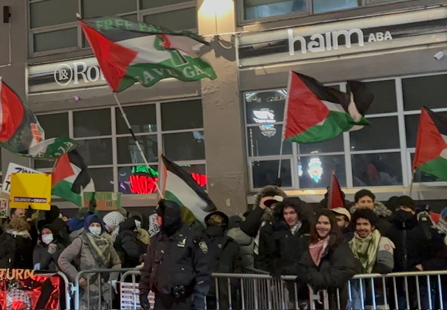 pro-palestine protestors
