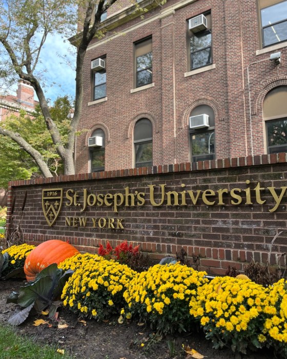 st. joseph's university