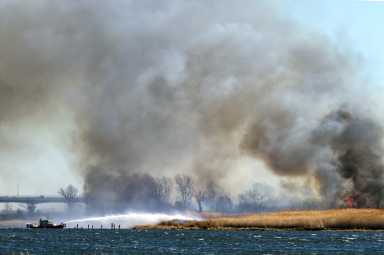 marine park brush fire