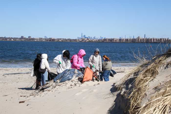 students plating beach grass coney island
