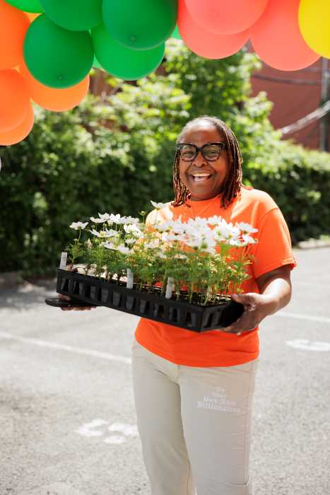 stefani zinerman flower bed-stuy