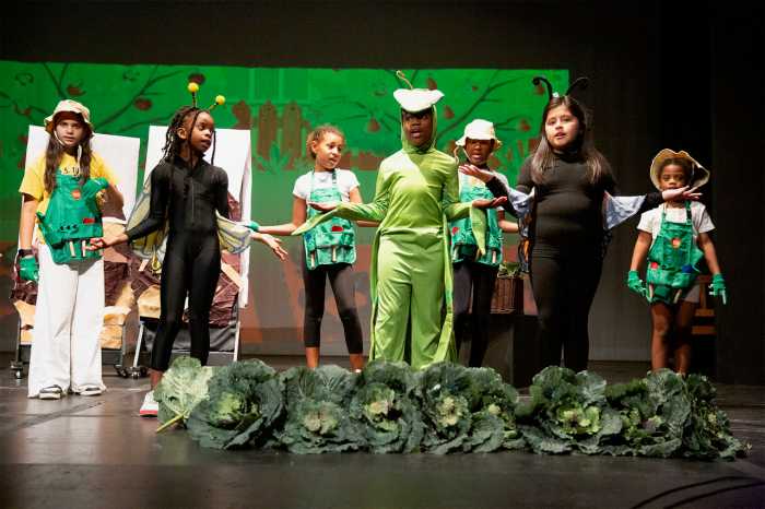 brooklyn children's theatre