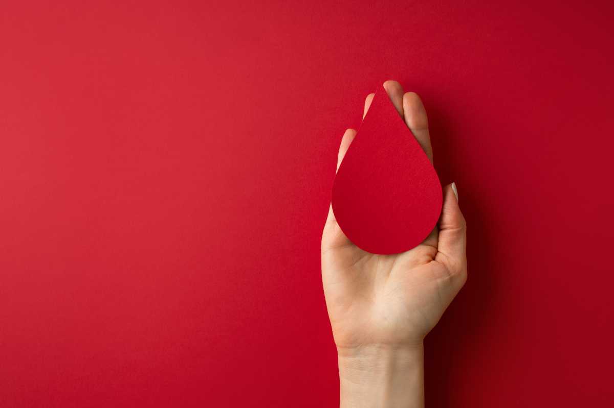 World donor day concept with hand holding paper red drop on white background