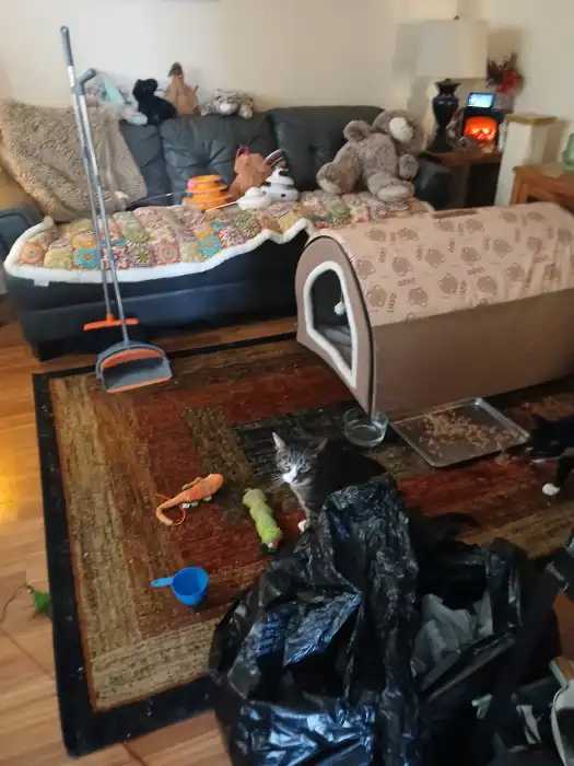 image of home where people are staying temporarily